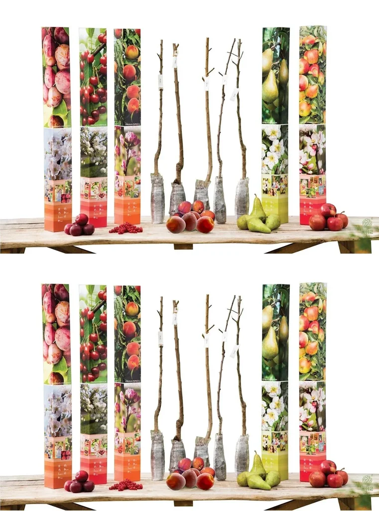 Flower-up Set mit 10 Obstbäumen 90 - 100 cm