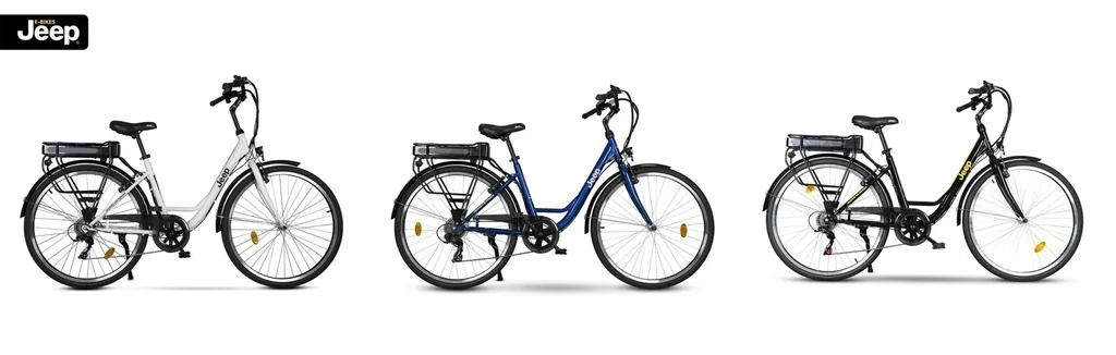Unisex City E-Bike, 28 Zoll , Rahmengröße 44 cm 6-Gang Kettenschaltung, weiß, ECR 3001