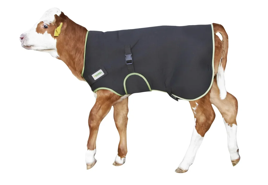 Kälberdecke Premium schwarz, 70 cm