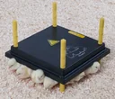 Comfort Wärmeplatte 30x30cm für Küken, 22W/ 220-240V