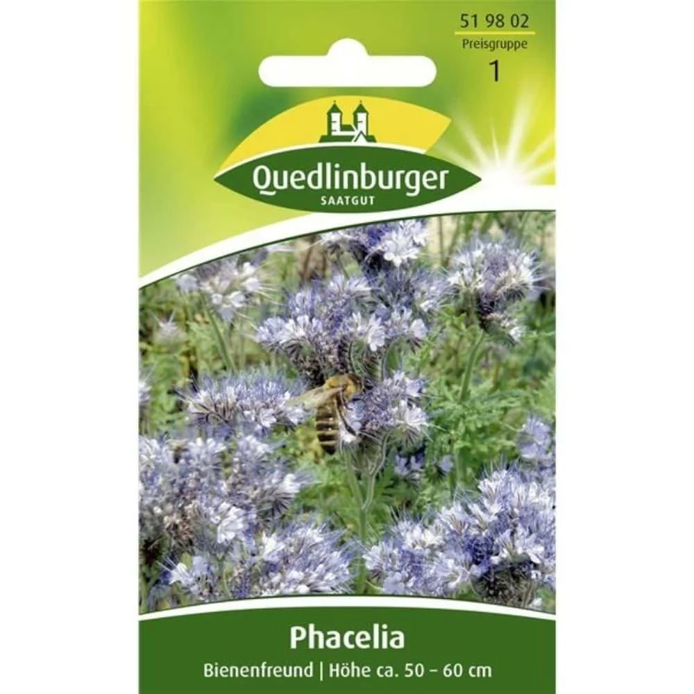 Phacelia kaufen, Bienenfreund Samen, Bienenweide
