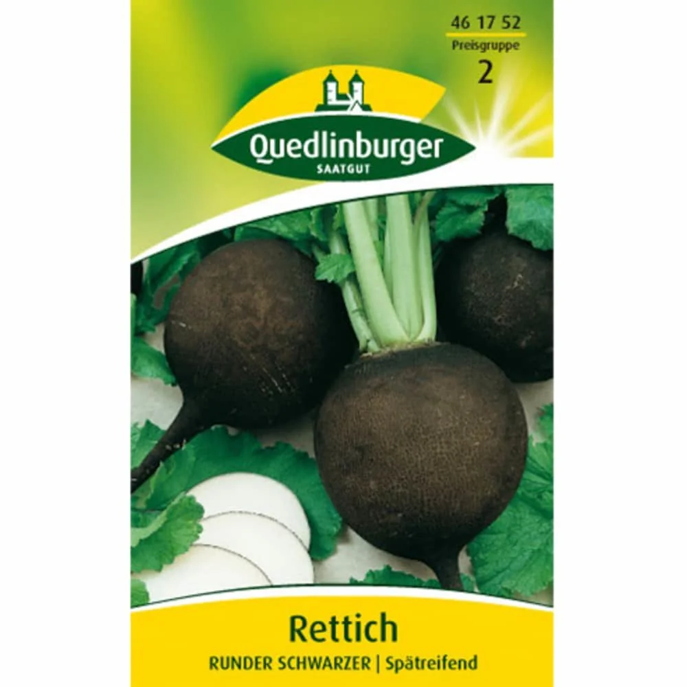 Rettich kaufen, Schwarzer Winterrettich, Saatgut für Garten & Co.