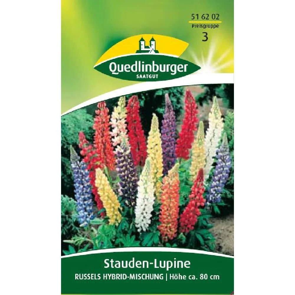 Lupinen kaufen, Stauden-Lupine, Russels Hybridmischung