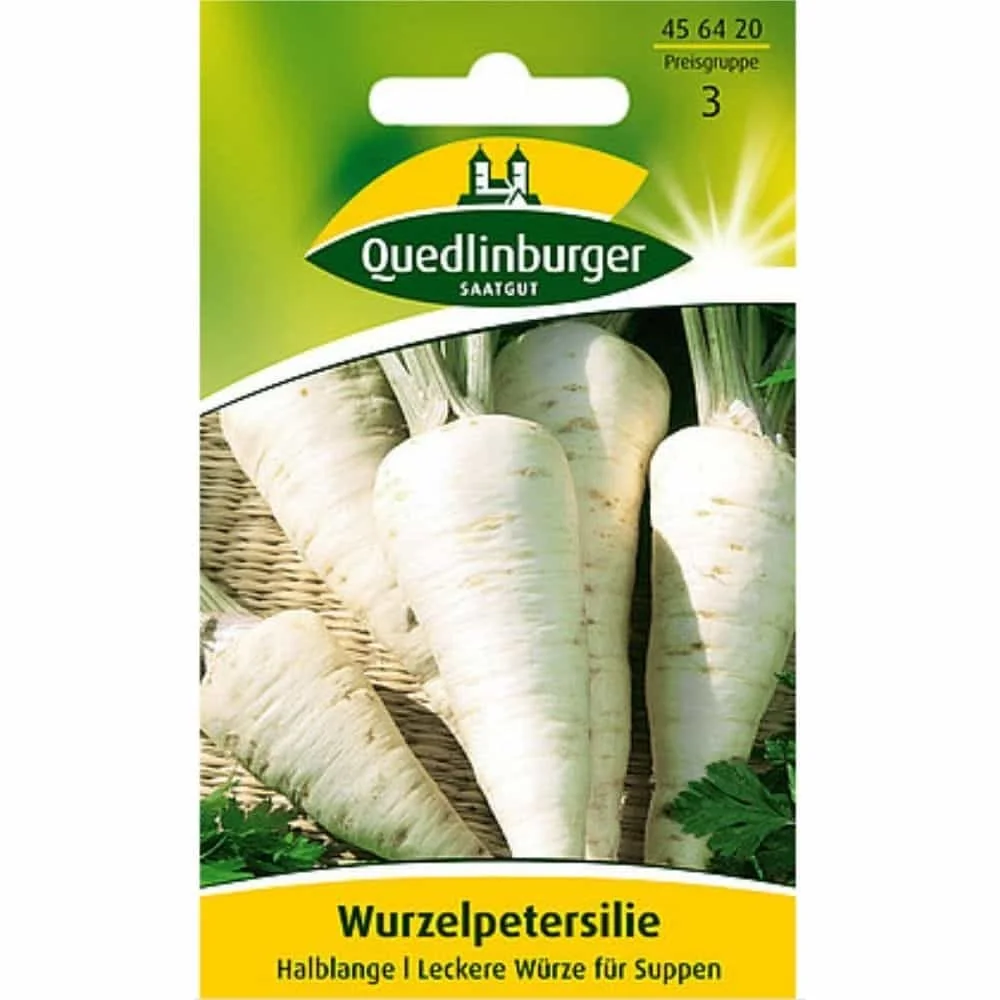 Wurzelpetersilie, Petersilienwurzel, Suppengrün von