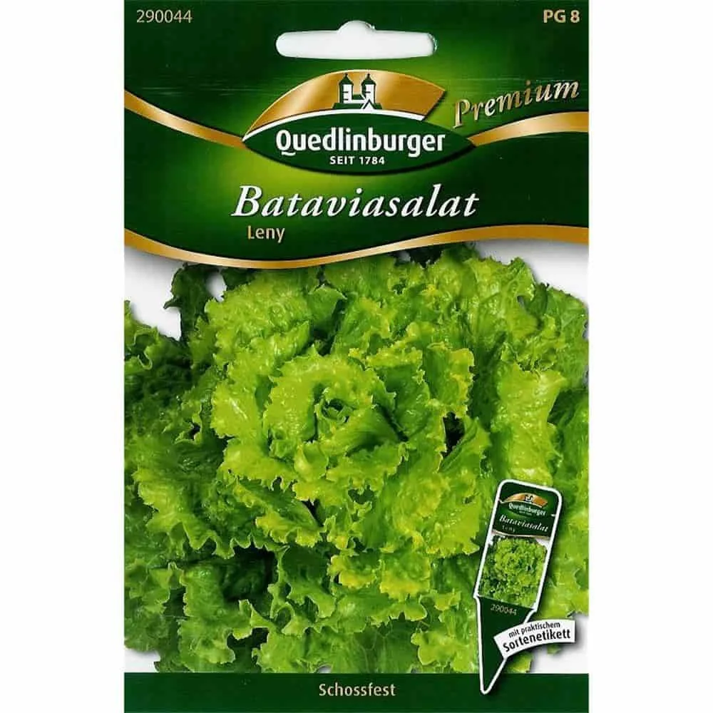 Salatsamen, Bataviasalat Leny, schossfester Salat