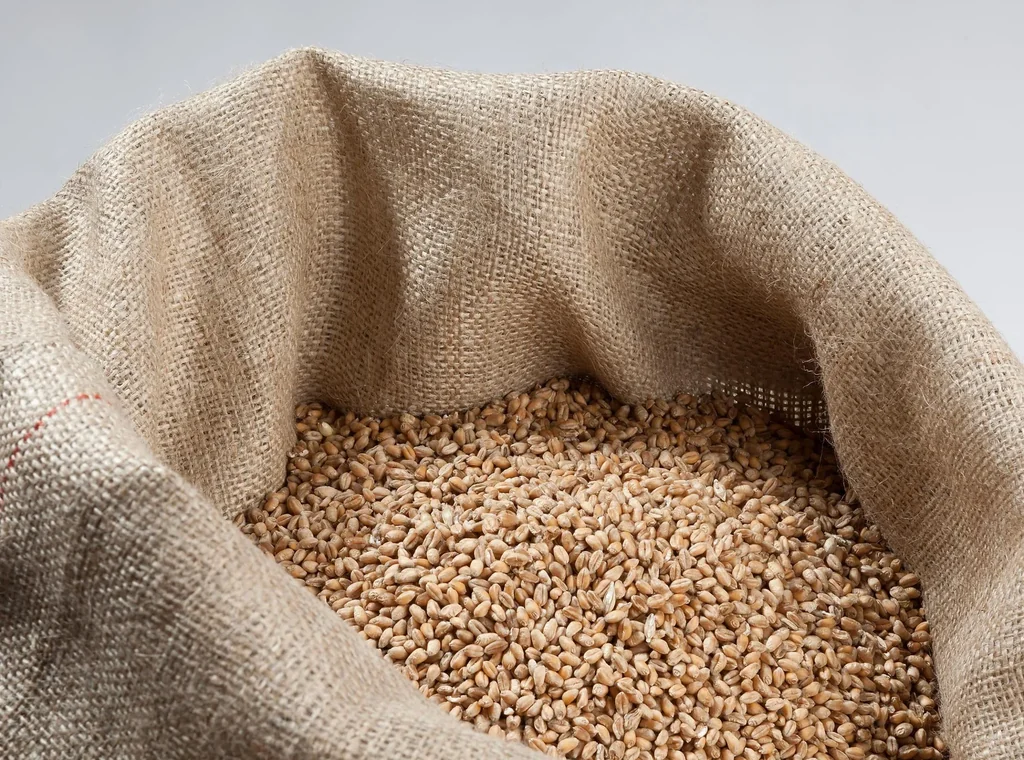 Jute Säcke, 50 kg, feine Maschen, 5 Stück