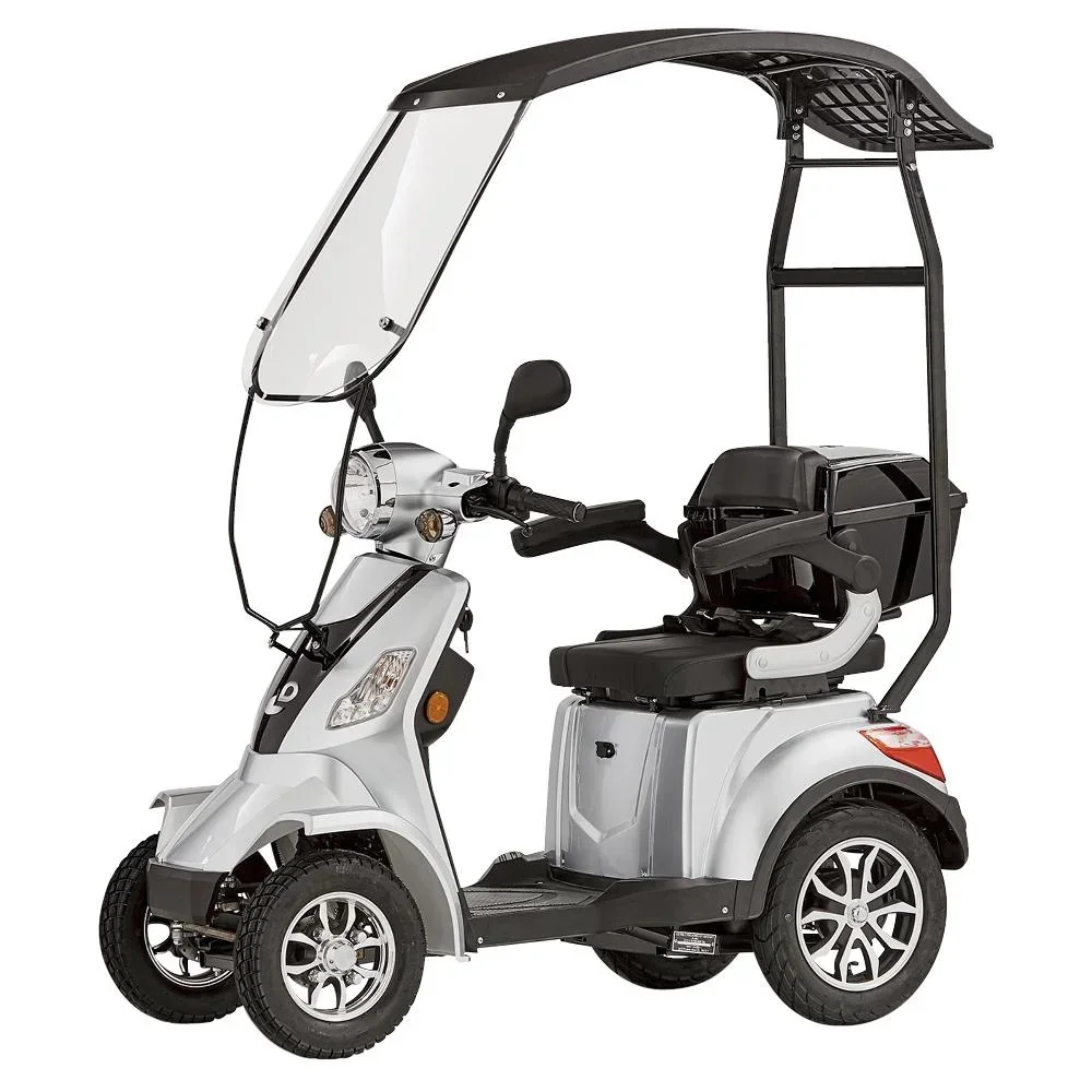4-Rad E-Mobil Palermo 25 km/h silber inklusive Wind- und Wetterschutz