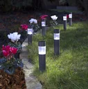 Solar Poller Leuchten in dunkelgrau - 6er Set