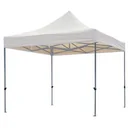 PROFESSIONELER GARTENPAVILLION - WEIß - 3 x 3 m