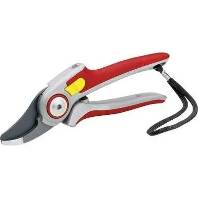 Professionelle Astschere RR 5000
