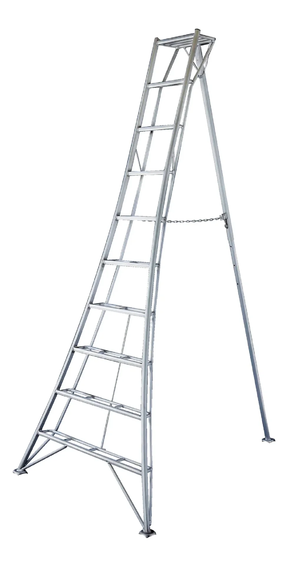 3-Holm-Gartenleiter, 300 cm