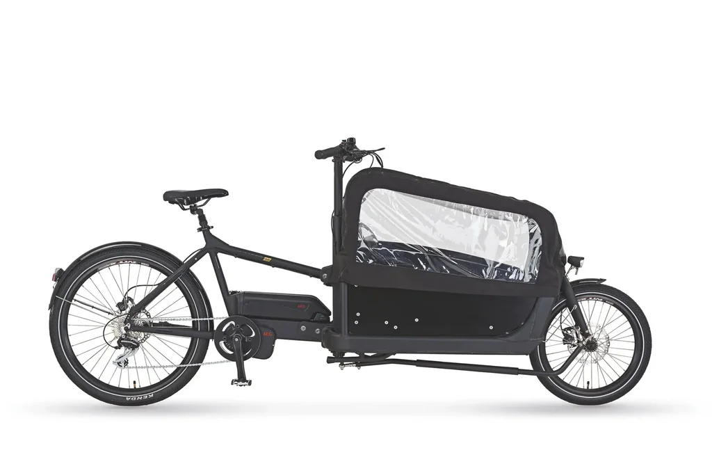 Unisex E-Bike 20"/26 Zoll, Rahmenhöhe 48 cm, 8-Gang Kettenschaltung, schwarz matt, CARGO Plus 22.ETL.10