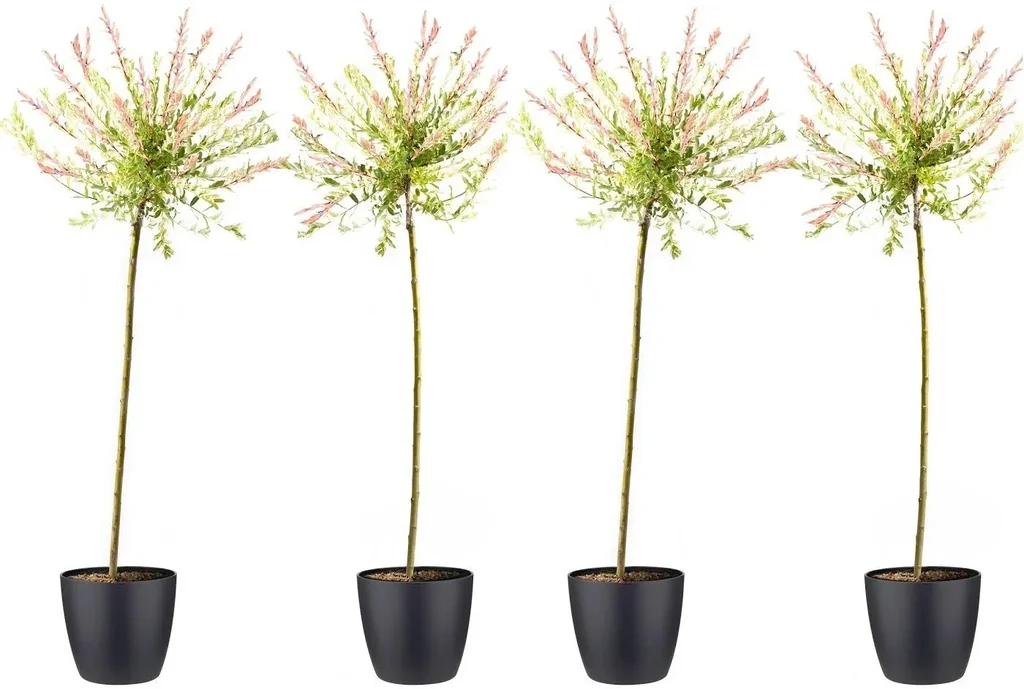 Flower-up 4er-Set XXL Rattenweiden 120 - 140 cm