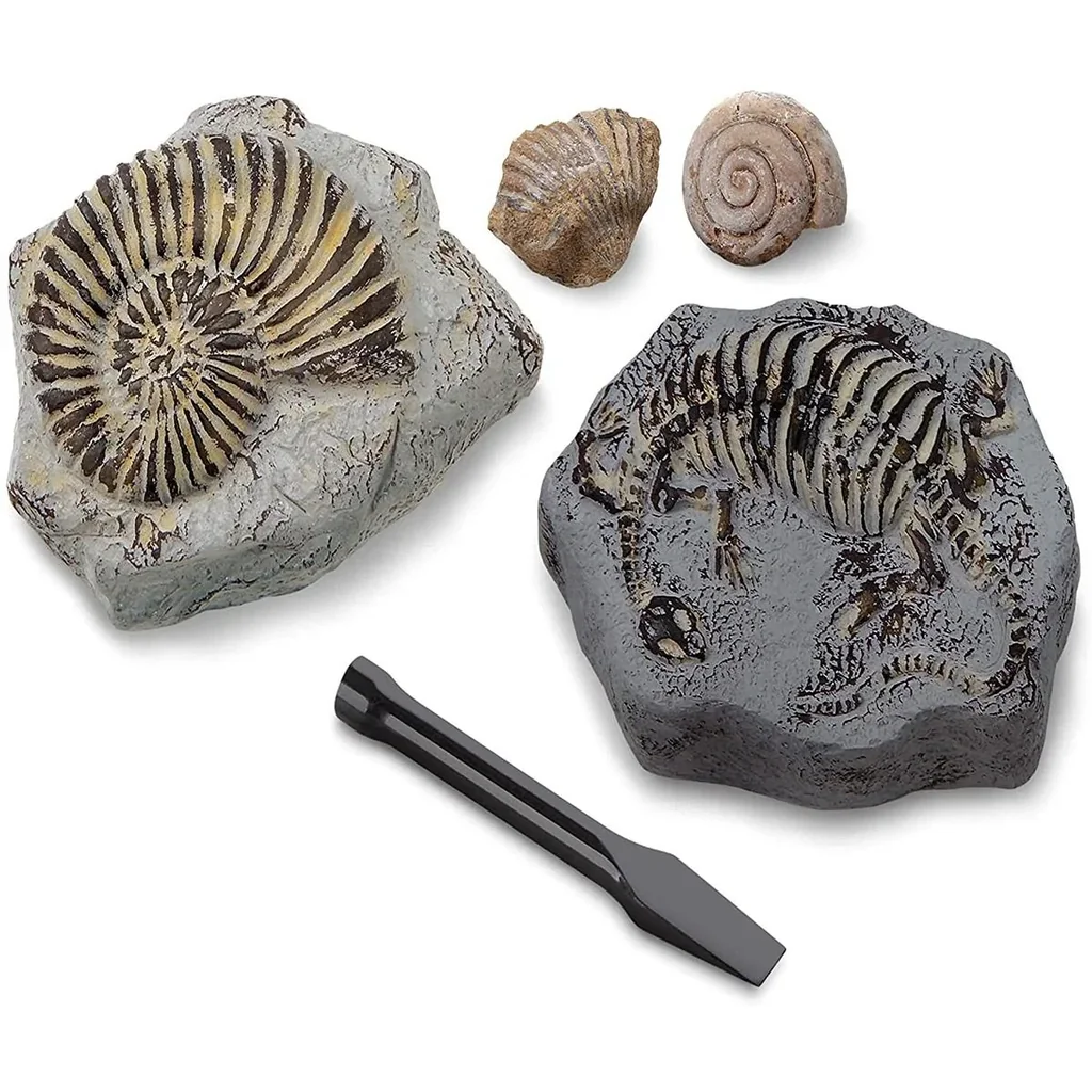 Discovery Mindblow - Fossilienausgrabung - Grabungsset - 2 Stück Archäologie
