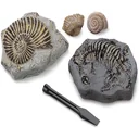 Discovery Mindblow - Fossilienausgrabung - Grabungsset - 2 Stück Archäologie