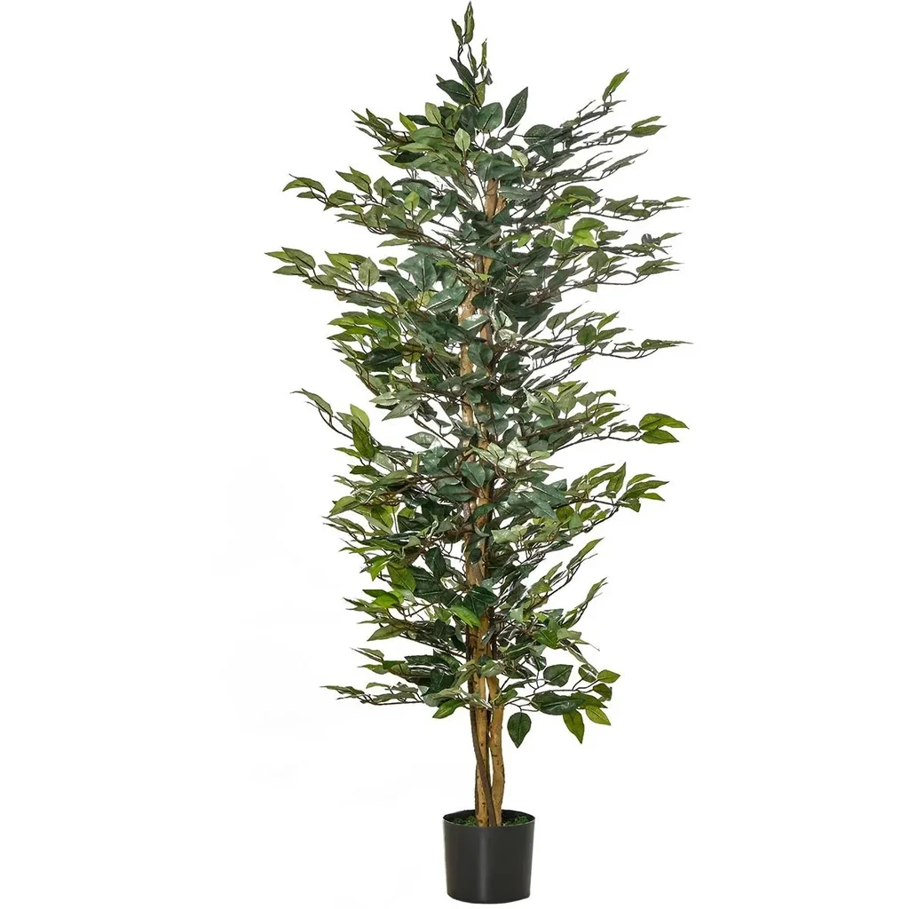 Kirschlorbeer 'Caucasica' 10er-Set (Prunus laurocerasus) – winterharter immergrüner Strauch, für 5 m Hecke, im 7-L-Container, Höhe ca. 60–80 cm