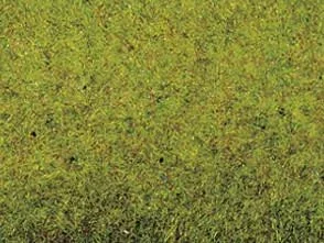 Grasmatte Sommerwiese 200 x 100 cm