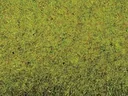 Grasmatte Sommerwiese 200 x 100 cm