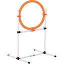Hundetrainingsset mit Springring orange/weiß