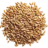 Rasensamen image