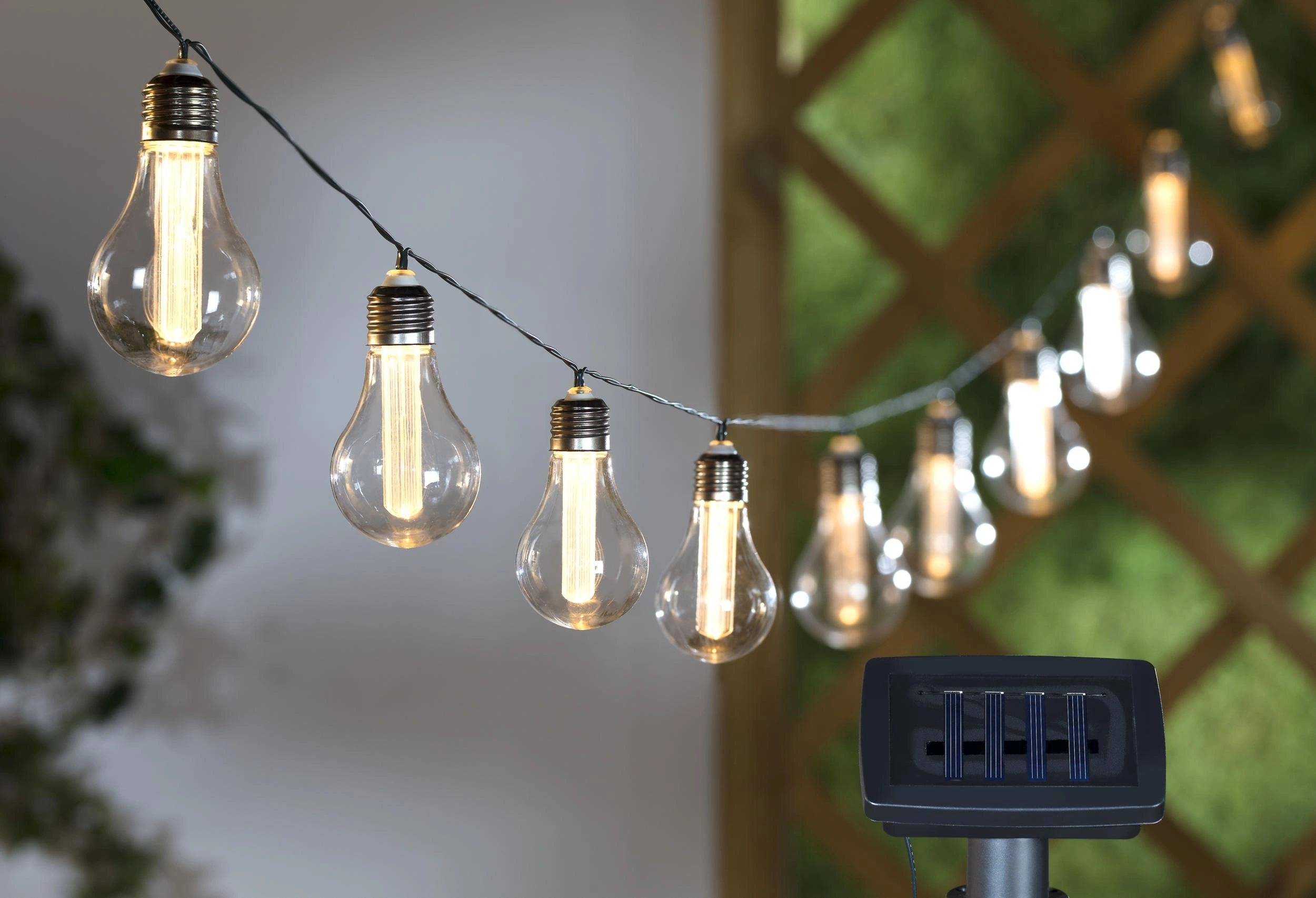 Lichterketten Bild