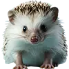 Igelfutter image