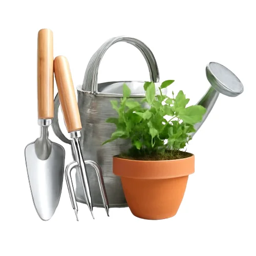 Pool Teich Garten image