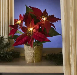 LED Weihnachtsstern
