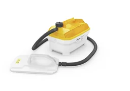 Dampftapetenablöser SteamForce