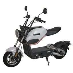 Design E-Roller "Max" 45 km/h weiß