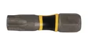 Torsion Bit T30x25 2 Stück