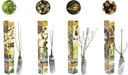 Flower-up Set aus 4 Nusspflanzen 50-60 cm