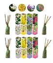 Aufblühendes Set aus 8 Ziersträuchern 50 - 70 cm