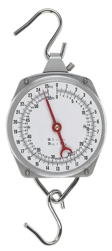 "Zeigerschnellwaagen bis 250 kg, Strichunterteilung 1 kg, 1 S-Haken image"