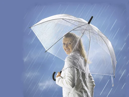 "Regenschirm Transparent image"