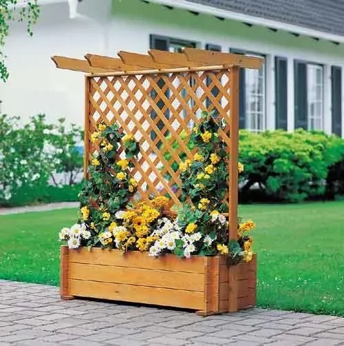 "Rankkasten mit Pergola image"