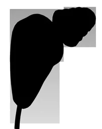 Hörverstärker 