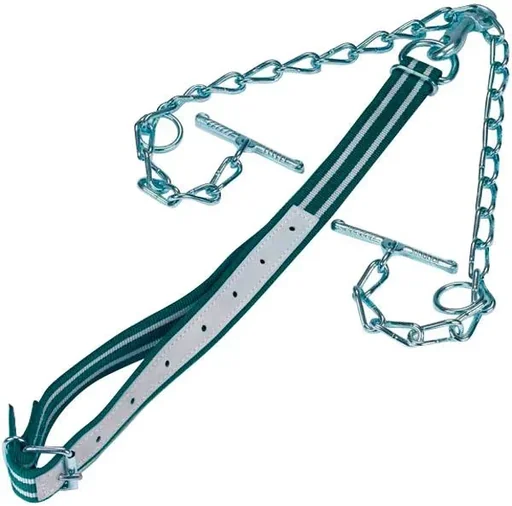 "Rinderanbindung, komplett mit Halsband und Kette image"