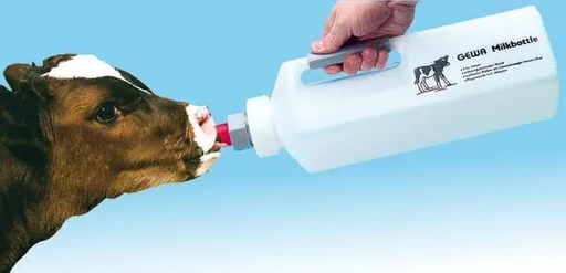 "Milchflasche 3 l für Kälber image"