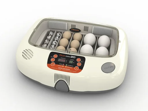 "Inkubator R-COM 20 MAX image"