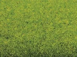 Spring meadow grass mat 200 x 100 cm