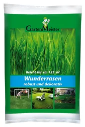 Rasensamen 