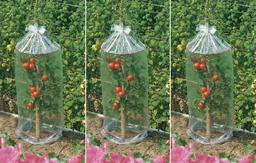 Tomaten Schutzhauben 3 x 3er Set