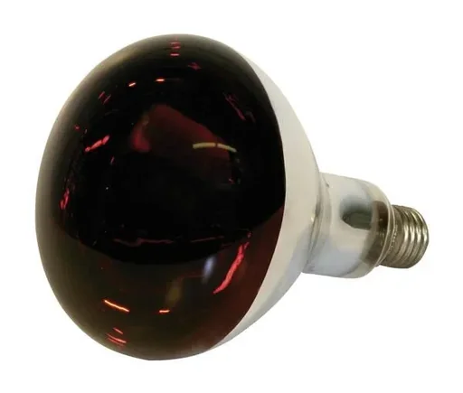 "Infrarot Hartglaslampe, 150 Watt, rot image"