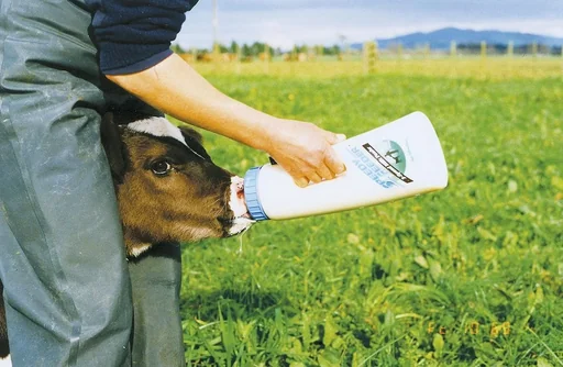 "Kälberflasche Speedy Feeder, 2,5 l image"