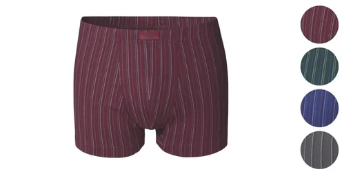 "Retroshorts im 4er Pack, farblich sortiert, Gr.8 image"