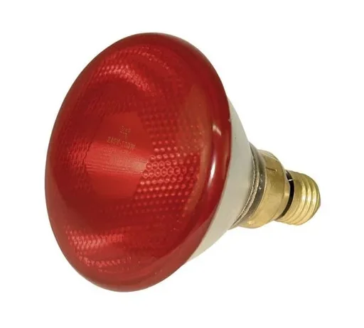 "Infrarot Sparlampe PAR 38, 175 Watt, rot image"