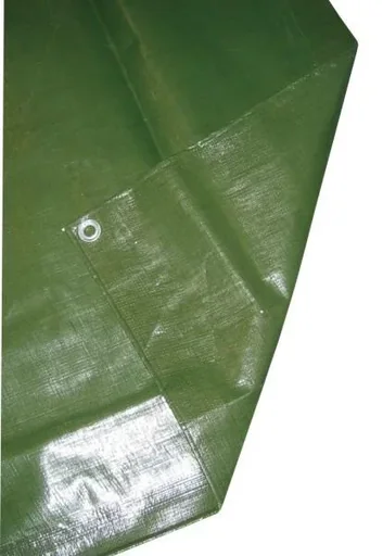 "Abdeckplane PolyGuard 6 x 8 m image"