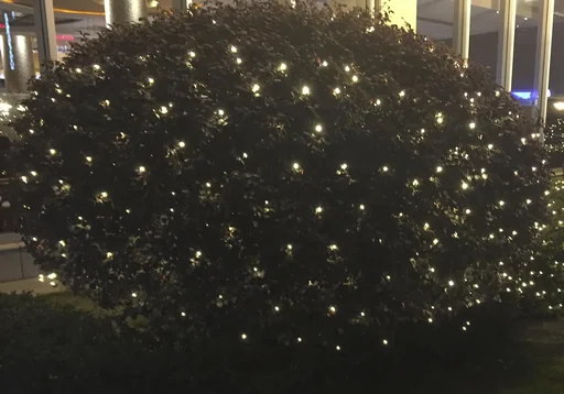 "LED Lichternetz mit 120 warmweißen LEDs, 2x2 m image"