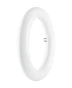 LED T9 Rundröhre mit 20 Watt, G10q, tageslichtweiß, 2000 Lumen